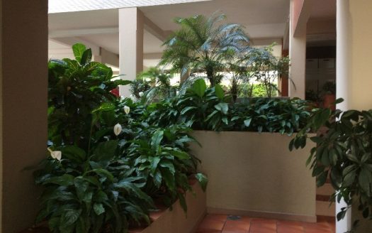 Apartamento à venda