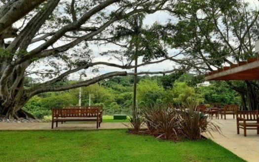 Lote/Terreno à venda