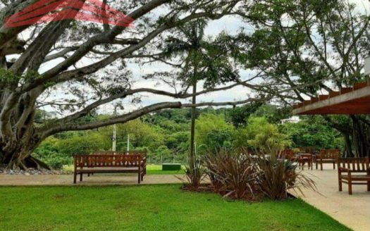Lote/Terreno à venda