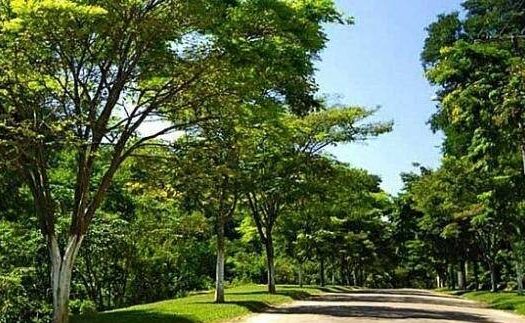 Lote/Terreno à venda