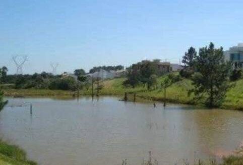Lote/Terreno à venda