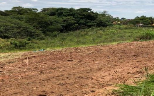 Lote/Terreno à venda