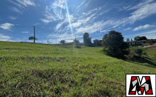Lote/Terreno à venda