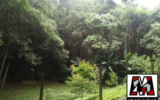 Fazenda/Sítio/Chácara à venda