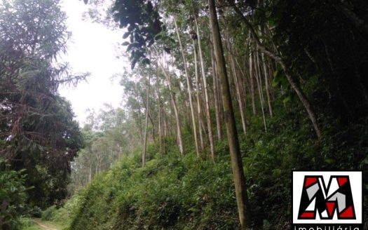 Fazenda/Sítio/Chácara à venda