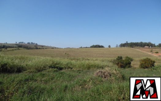 Fazenda/Sítio/Chácara à venda