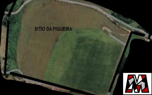 Fazenda/Sítio/Chácara à venda