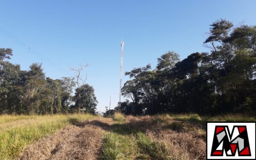 Fazenda/Sítio/Chácara à venda