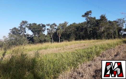 Fazenda/Sítio/Chácara à venda