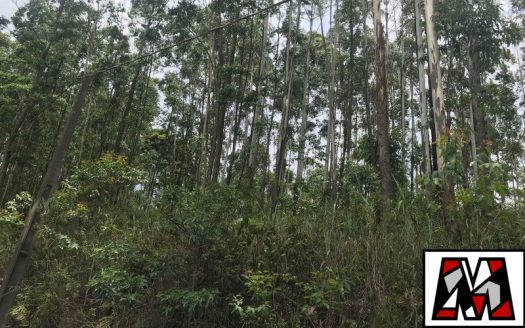 Lote/Terreno à venda