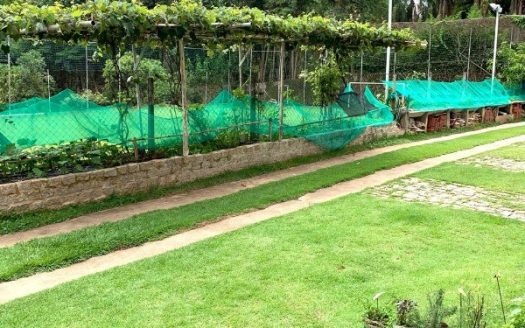 Fazenda/Sítio/Chácara à venda