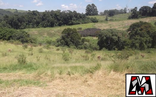 Fazenda/Sítio/Chácara à venda