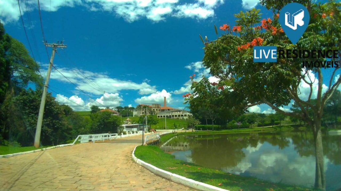 video image