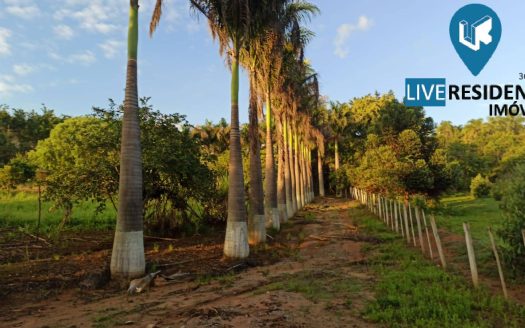 Lote/Terreno à venda