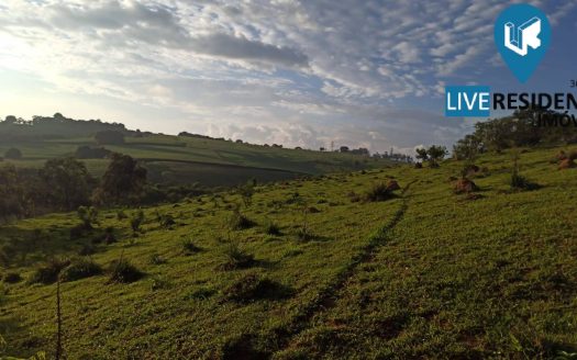 Lote/Terreno à venda
