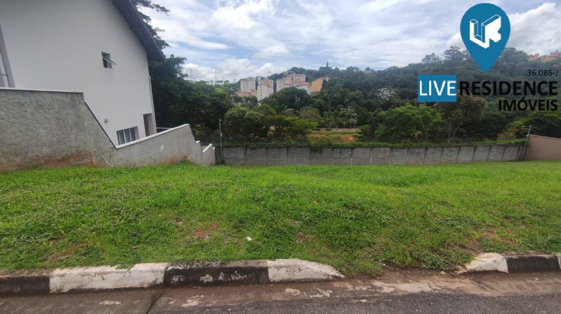 video image
