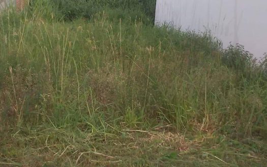 Lote/Terreno à venda