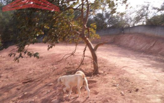 Fazenda/Sítio/Chácara à venda