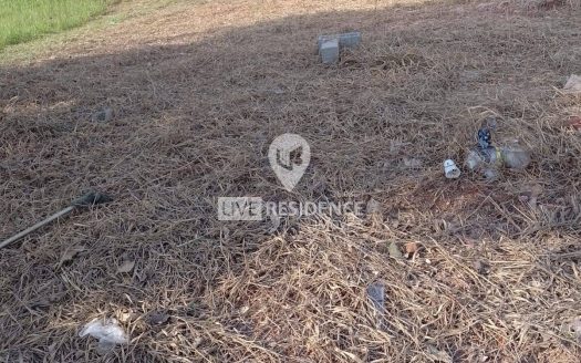 Lote/Terreno à venda