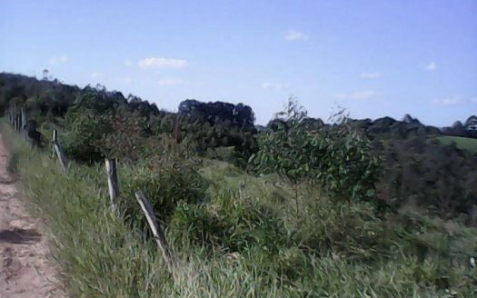 Fazenda/Sítio/Chácara à venda