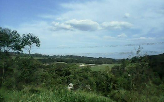 Fazenda/Sítio/Chácara à venda