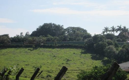 Lote/Terreno à venda