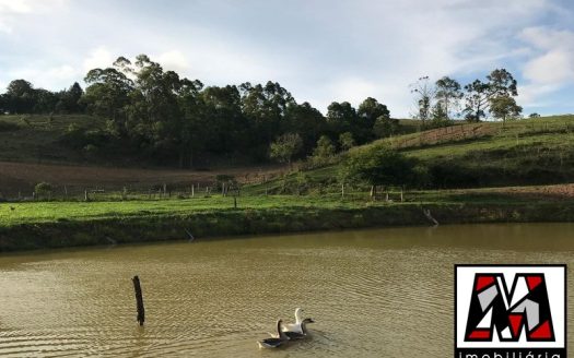 Área Comercial à venda