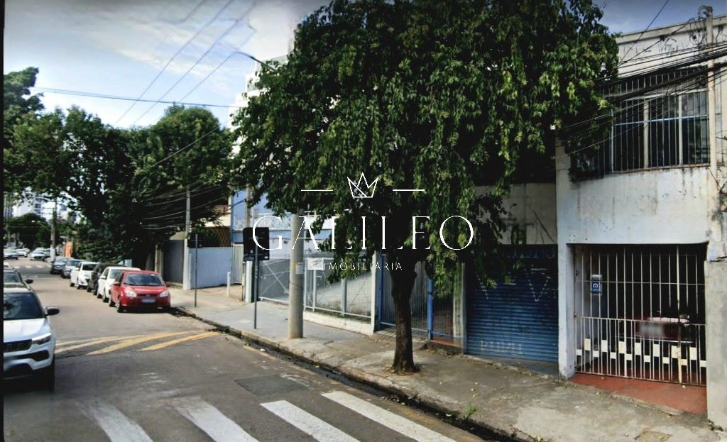 video image