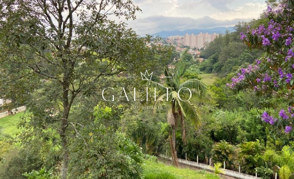 video image
