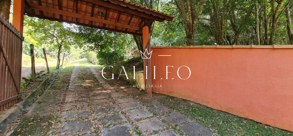 video image