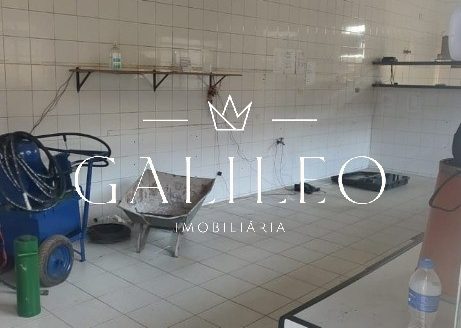 Fazenda/Sítio/Chácara para alugar