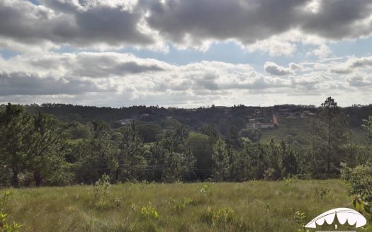 Lote/Terreno à venda