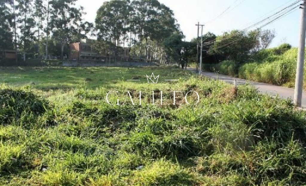 video image