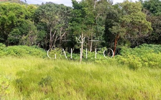 Lote/Terreno à venda