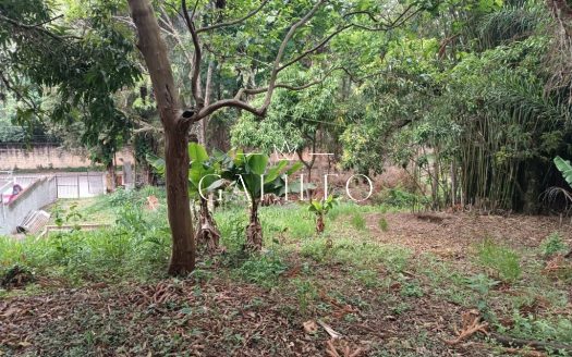 Lote/Terreno à venda