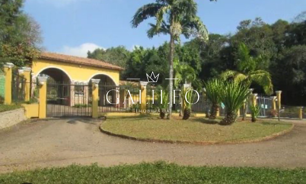 video image