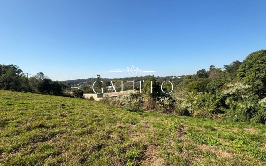 Lote/Terreno à venda