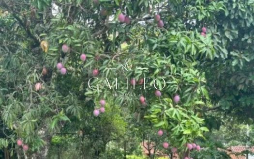 Lote/Terreno à venda