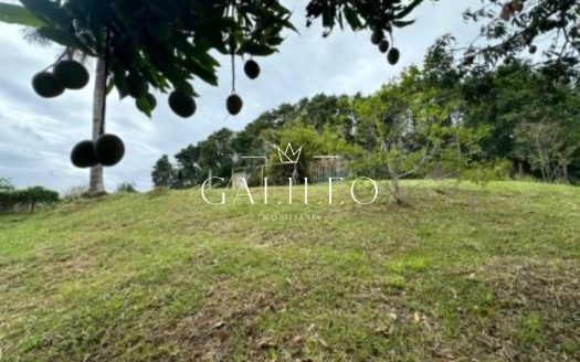 Lote/Terreno à venda