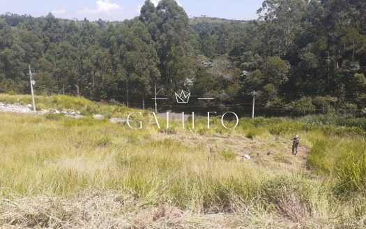 Lote/Terreno à venda