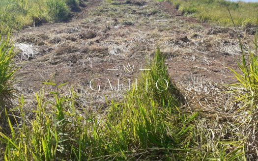 Lote/Terreno à venda
