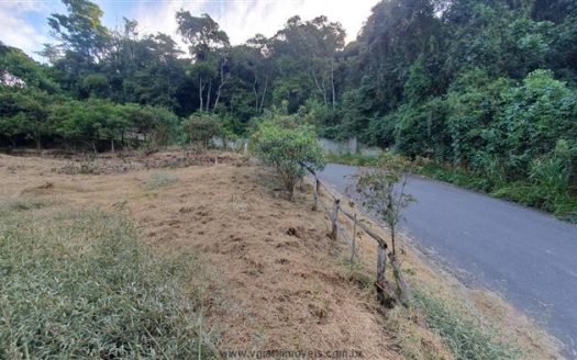 Fazenda/Sítio/Chácara à venda