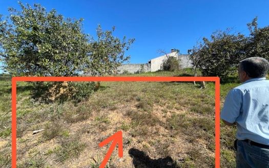 Lote/Terreno à venda