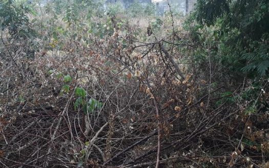 Lote/Terreno à venda