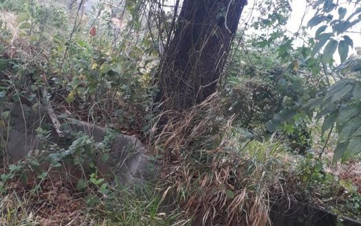Lote/Terreno à venda