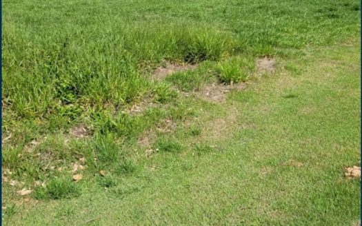 Lote/Terreno à venda
