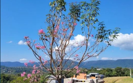 Lote/Terreno à venda