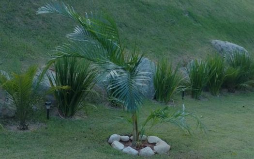 Lote/Terreno à venda