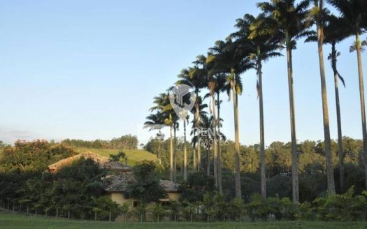 Lote/Terreno à venda