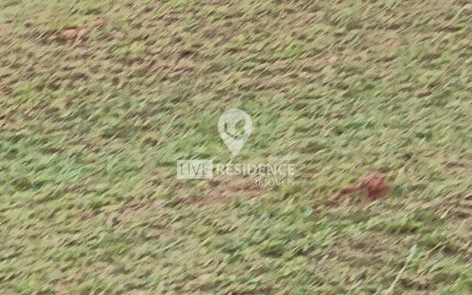 Lote/Terreno à venda
